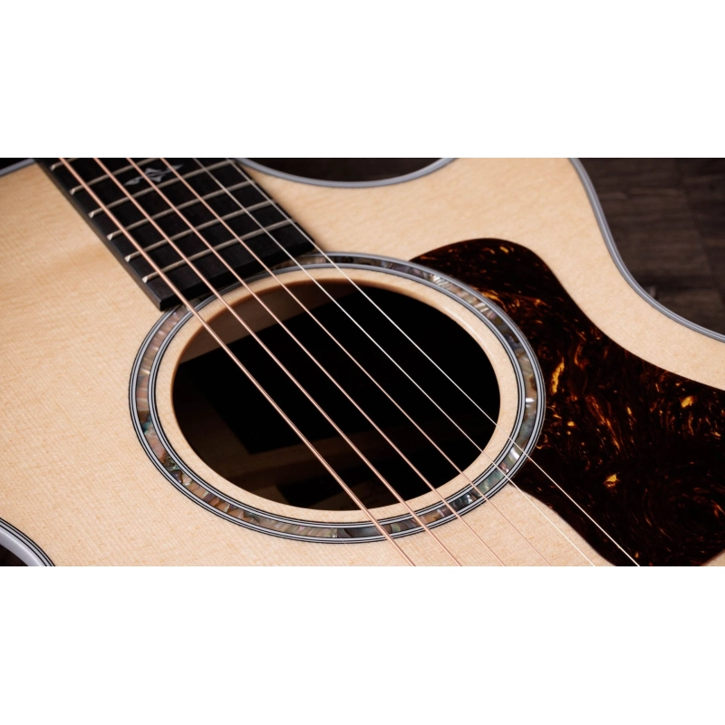 Taylor 412ce-R V-Class Bracing Natural