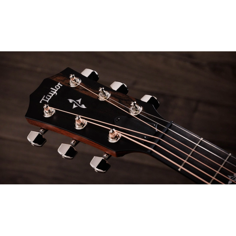 Taylor 412ce-R V-Class Bracing Natural
