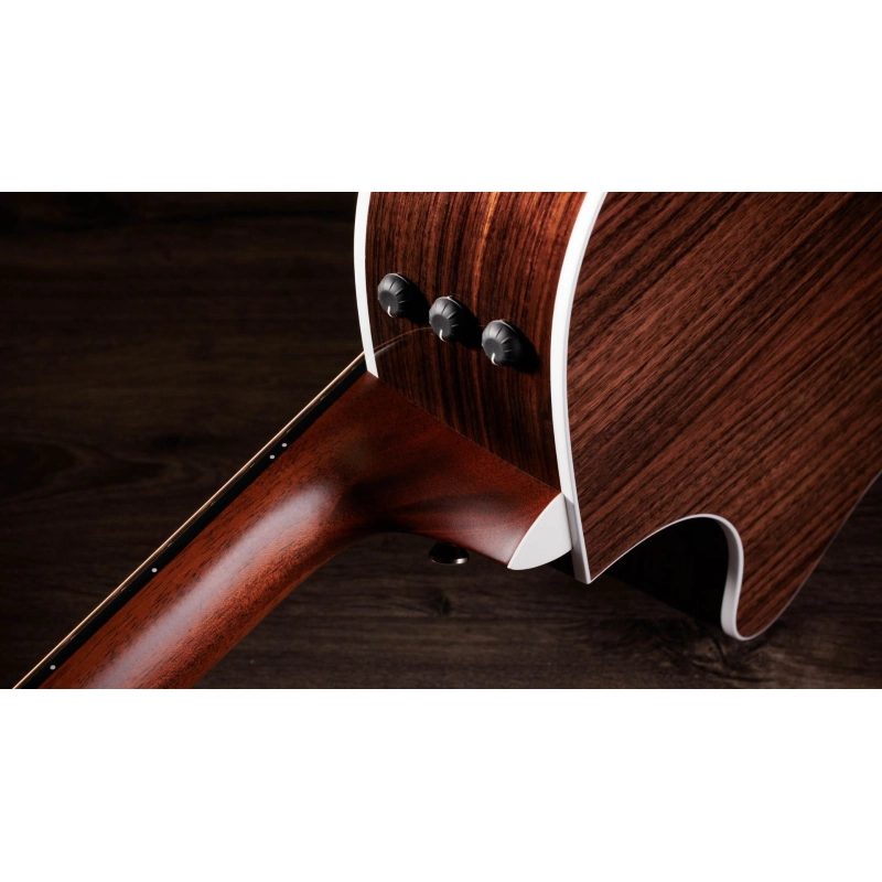 Taylor 412ce-R V-Class Bracing Natural