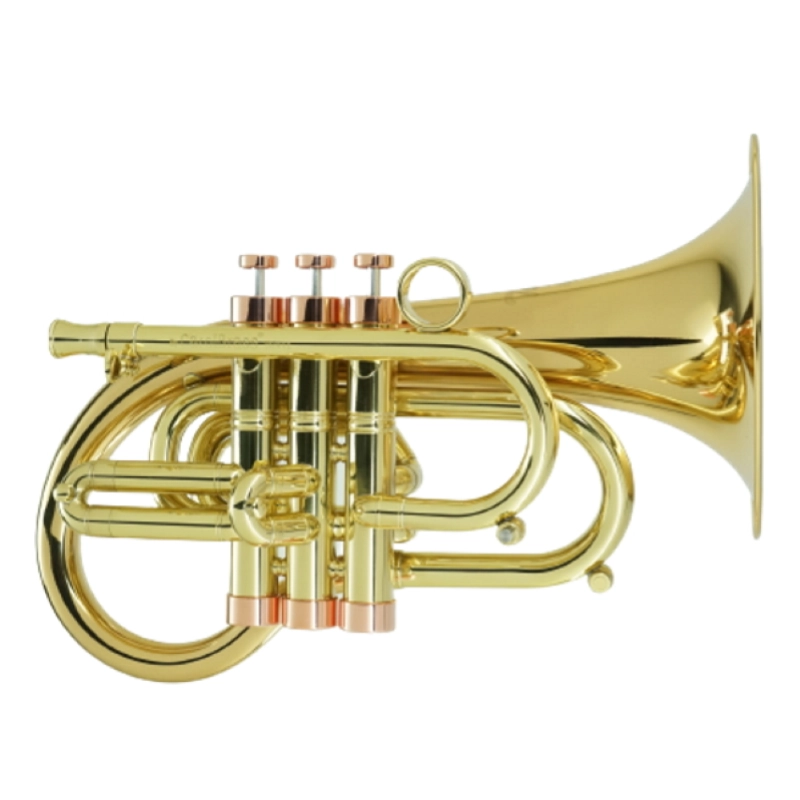 Carol Brass Flicorno Bb Phat Puppy NL