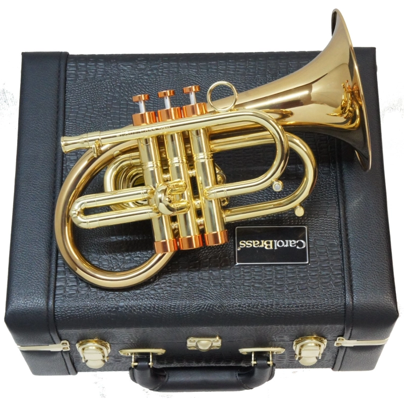 Carol Brass Flicorno Bb Phat Puppy NL