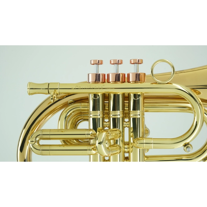 Carol Brass Flicorno Bb Phat Puppy NL
