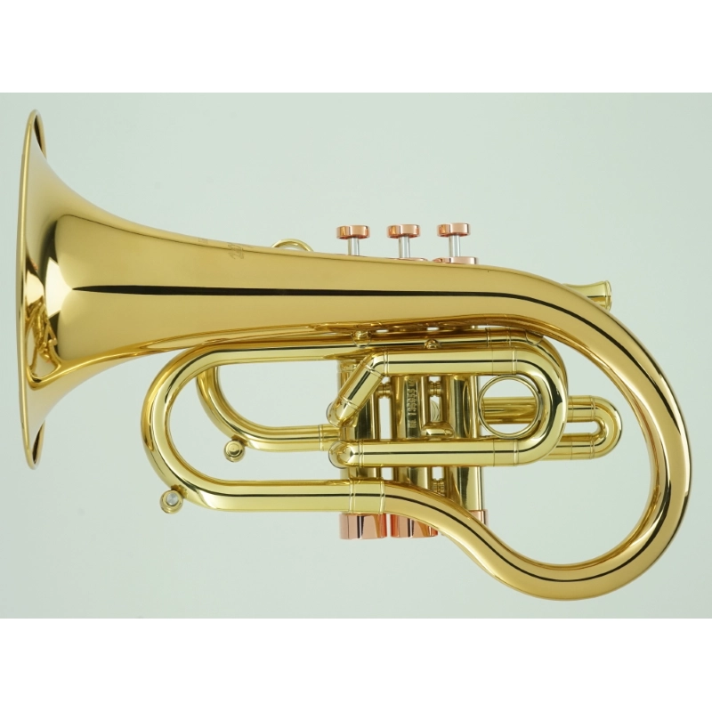 Carol Brass Flicorno Bb Phat Puppy NL
