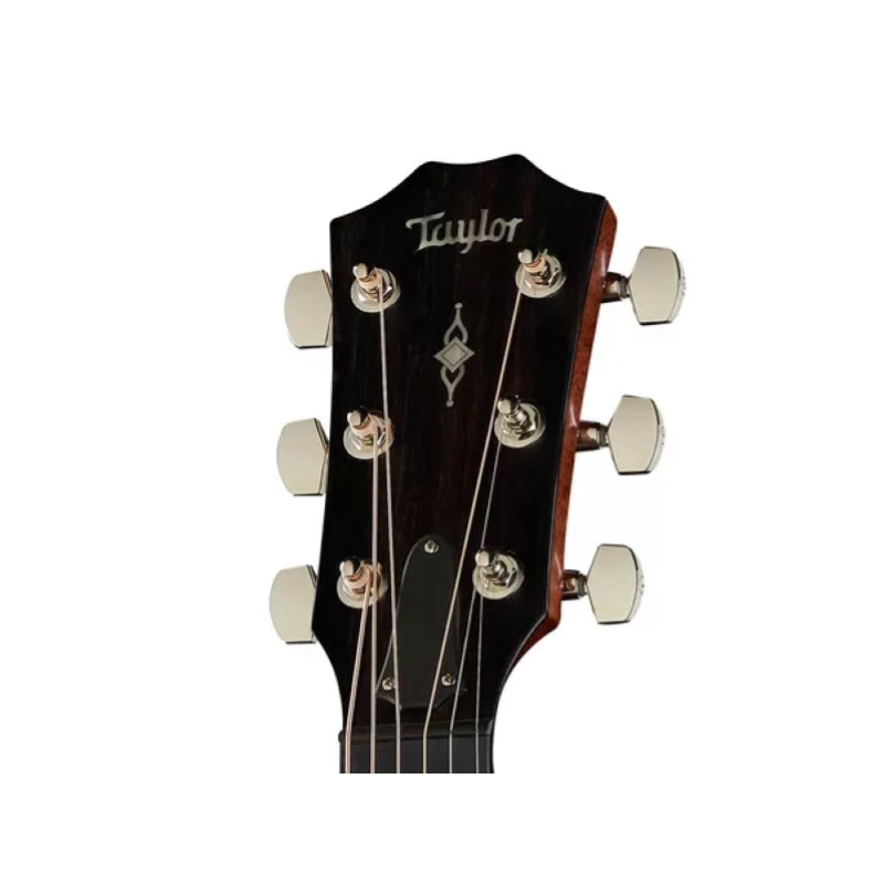 Taylor 314ce V-Bracing