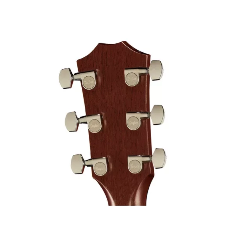Taylor 314ce V-Bracing