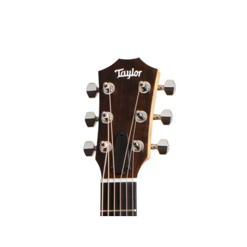 Taylor GS Mini-e Rosewood Plus