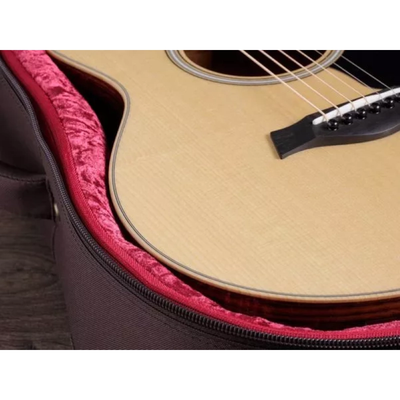 Taylor GS Mini-e Rosewood Plus