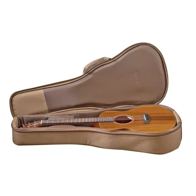 Taylor GS Mini-E Koa