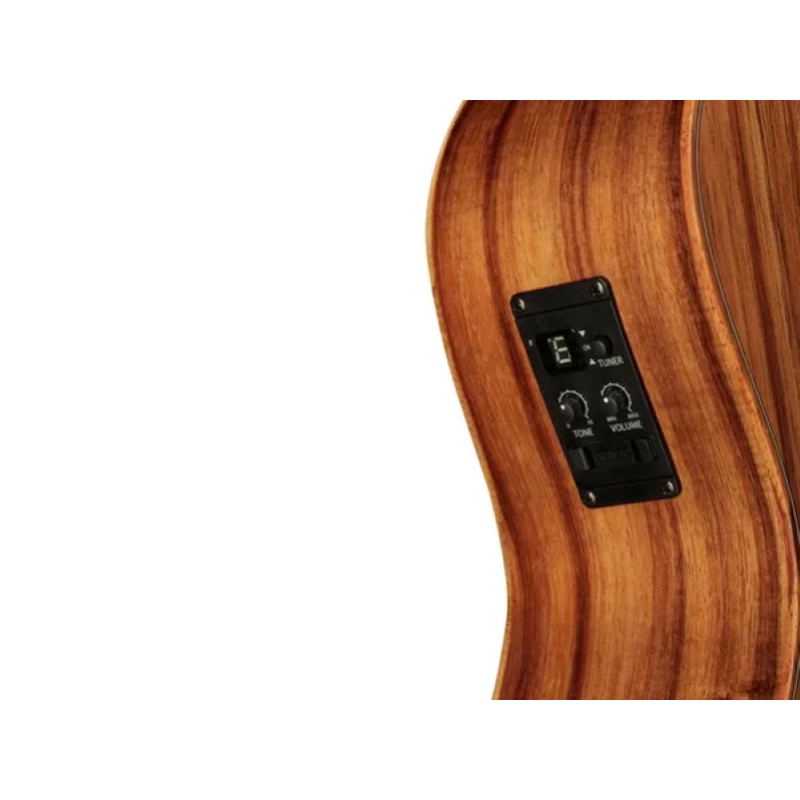 Taylor GS Mini-E Koa