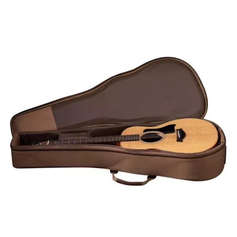 Taylor GS Mini Sapele/Spruce