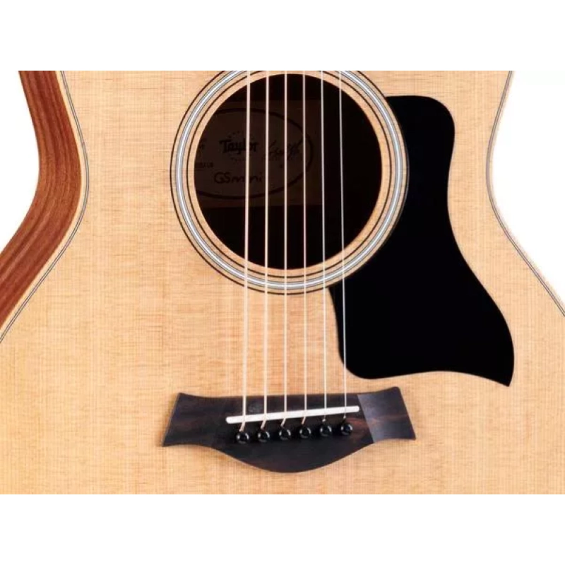 Taylor GS Mini Sapele/Spruce
