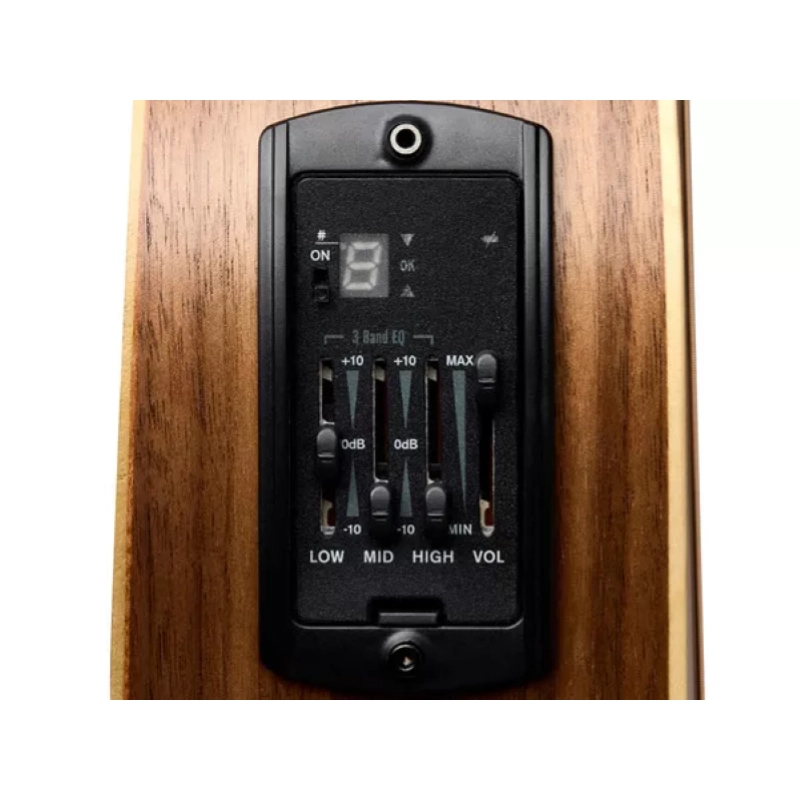 Taylor Big Baby Taylor BBTe ES-B Electronics