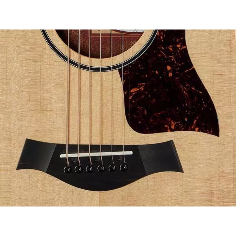 Taylor Big Baby Taylor BBTe ES-B Electronics