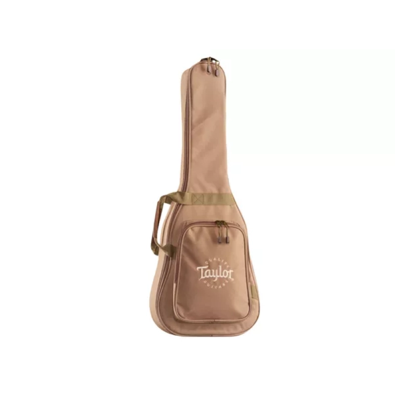 Taylor Big Baby Taylor BBTe ES-B Electronics