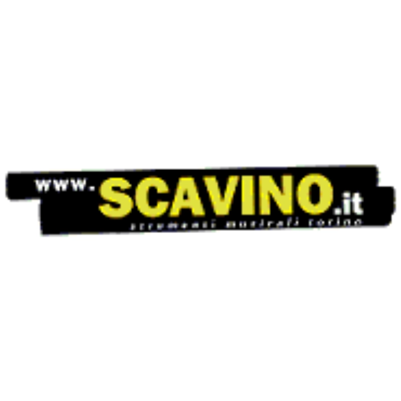 SALVI Arpa Delta Elettrica 29 corde Do-Do"", Celtica