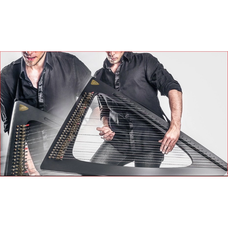 SALVI Arpa Delta Elettrica 29 corde Do-Do"", Celtica