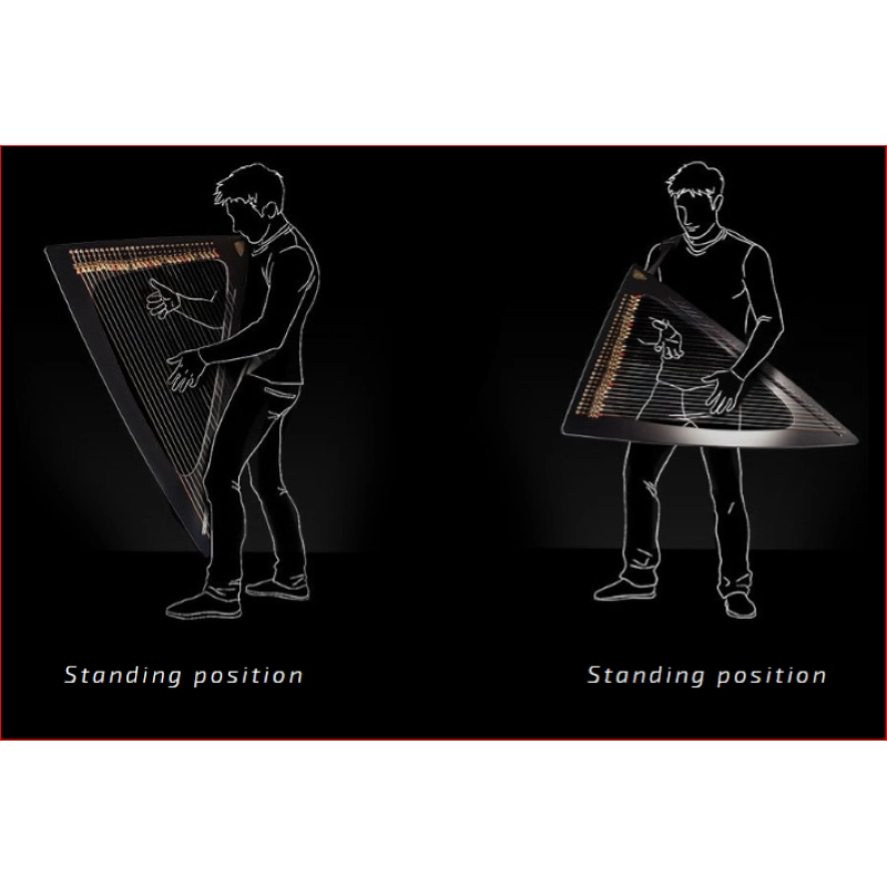 SALVI Arpa Delta Elettrica 29 corde Do-Do"", Celtica