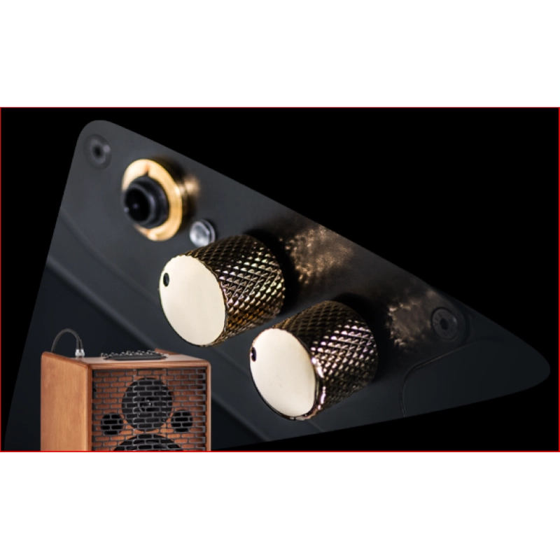 SALVI Arpa Delta Elettrica 29 corde Do-Do"", Celtica