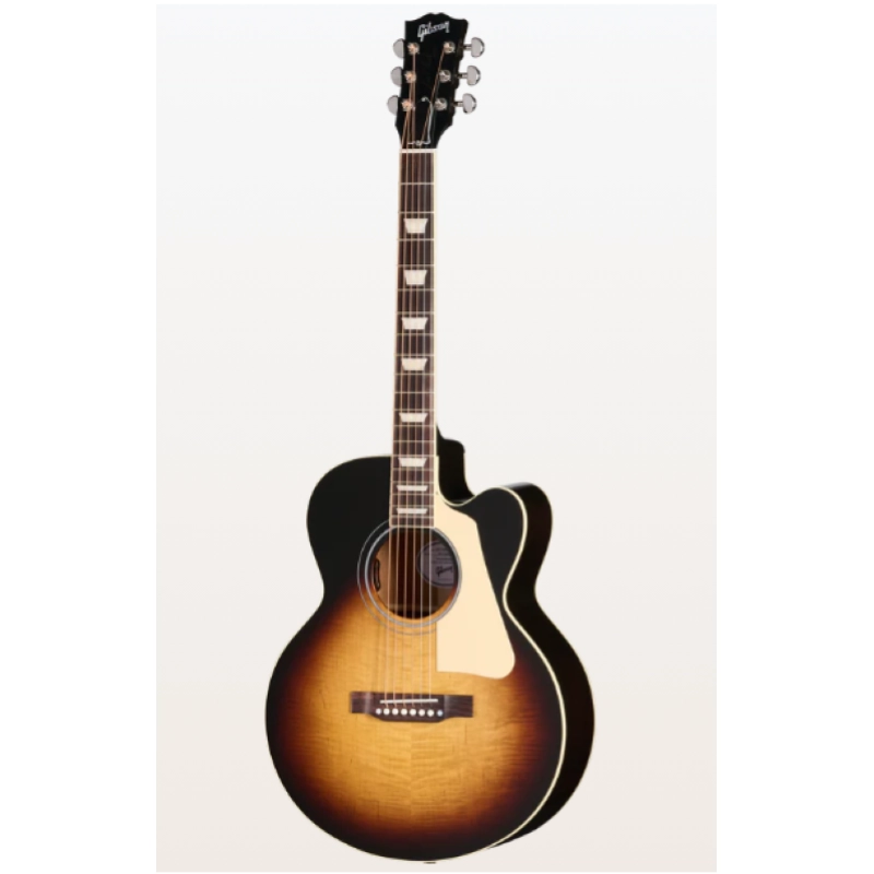 Gibson Les Paul Parlor Acoustic MCSBLPPVS