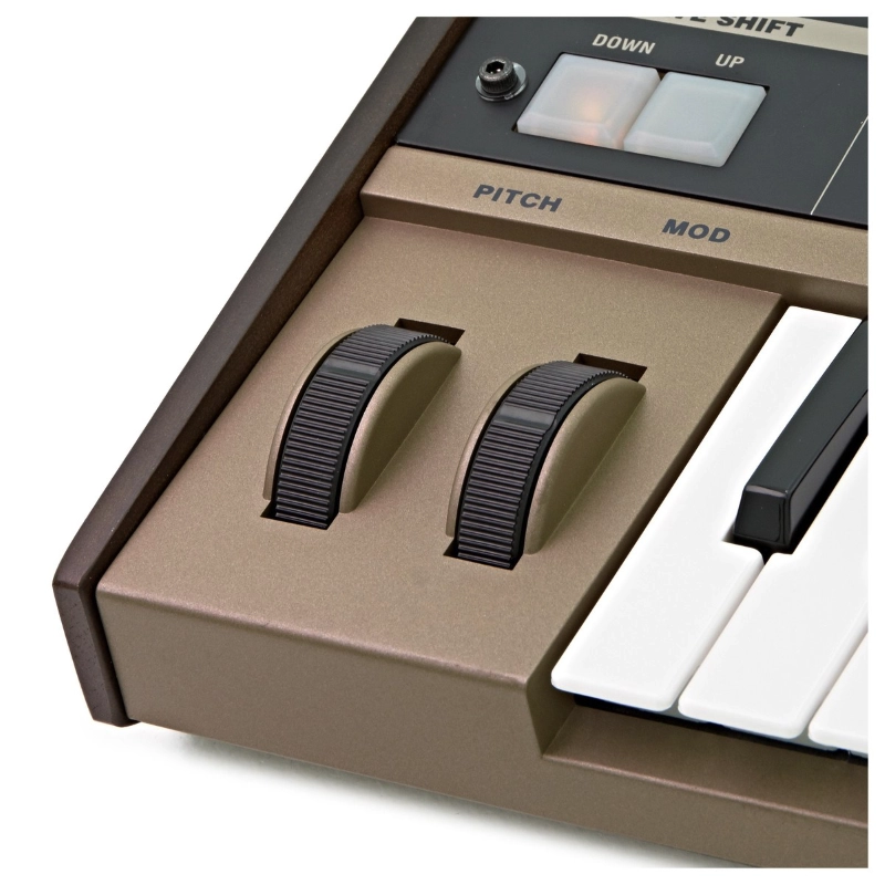 Korg MicroKorg Sintetizzatore e Vocoder 37 Tasti