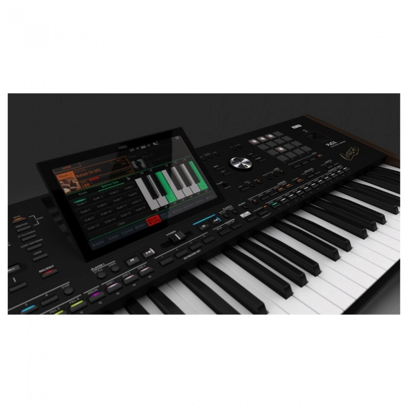 Korg PA5X OR61 Tastiera Arranger 61 Tasti per Musica Orientale