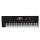 Korg PA5X OR76 Tastiera Arranger 76 Tasti per Musica Orientale