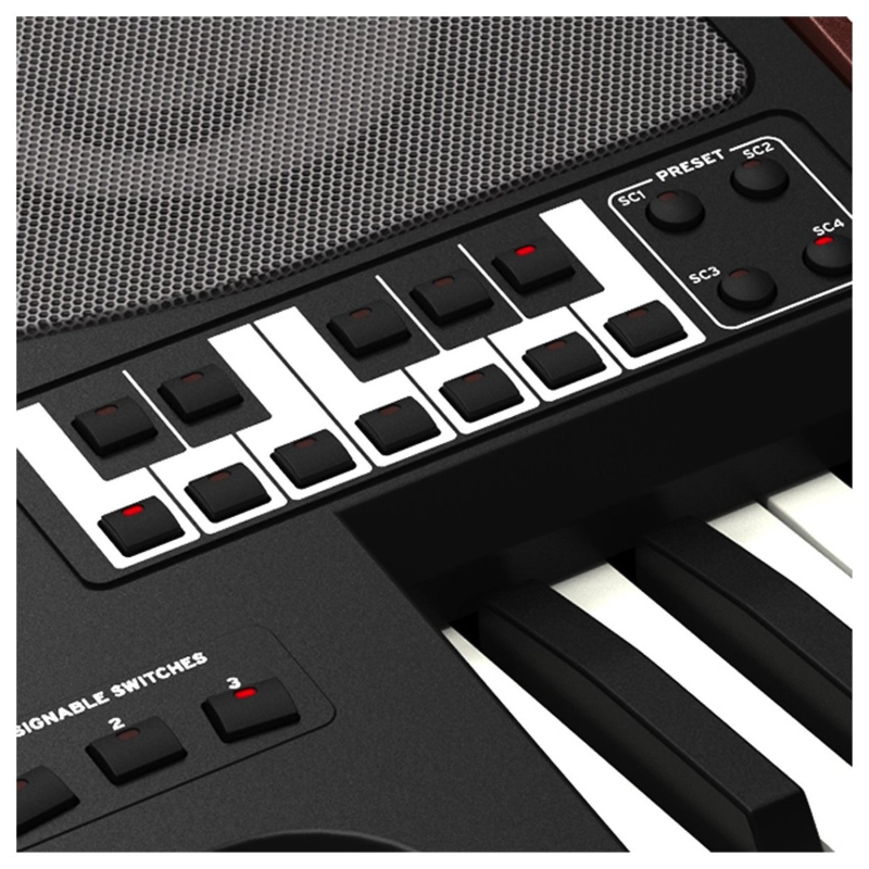 Korg PA700 Oriental Arranger Professionale con Suoni Orientiali