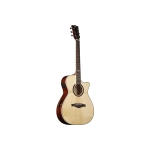 Eko Guitars Tri A300ce