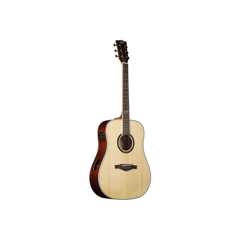 Eko Guitars Tri D300e