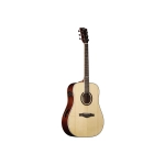 Eko Guitars Tri D300e