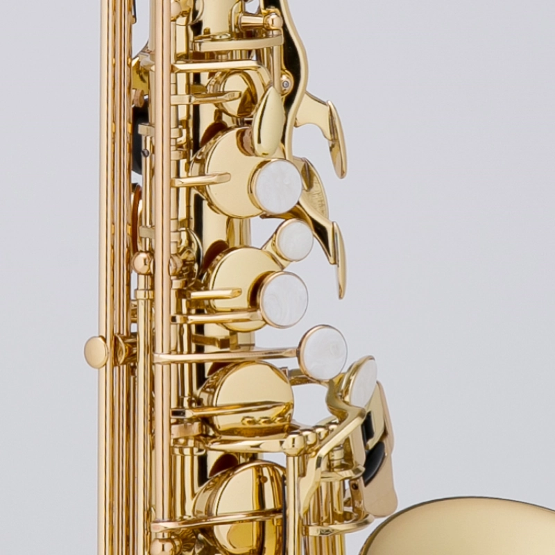 Château CAS-21L Sax Alto Laccato