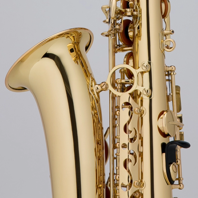 Château CAS-21L Sax Alto Laccato