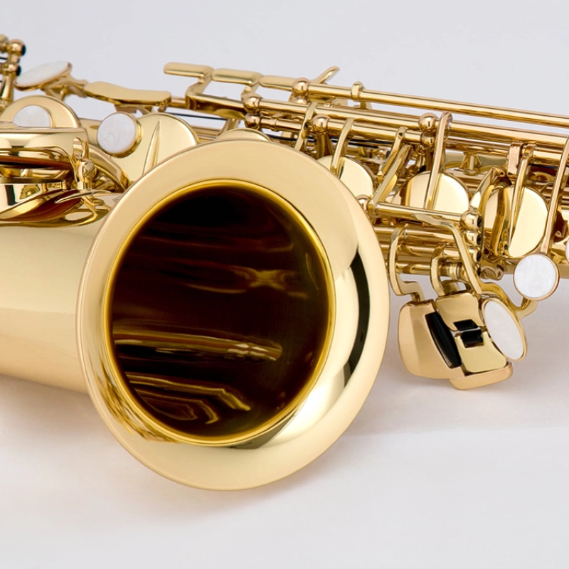 Château CAS-21L Sax Alto Laccato