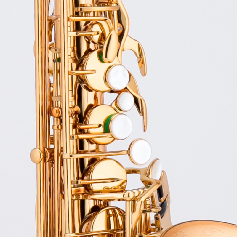 Château CAS-80L Sax Alto in Goldbrass Laccato