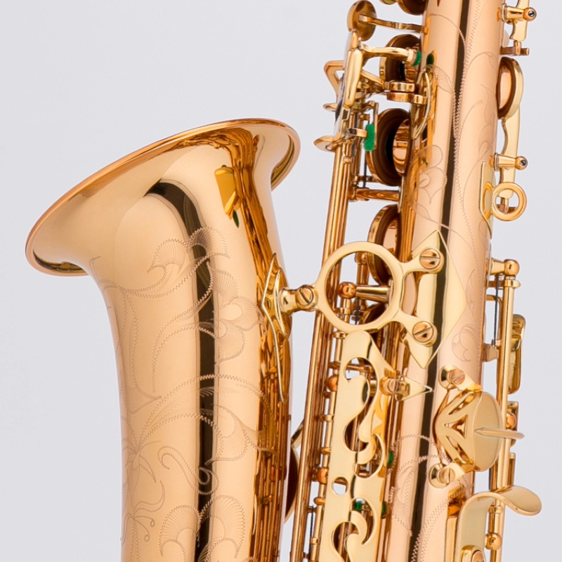 Château CAS-80L Sax Alto in Goldbrass Laccato