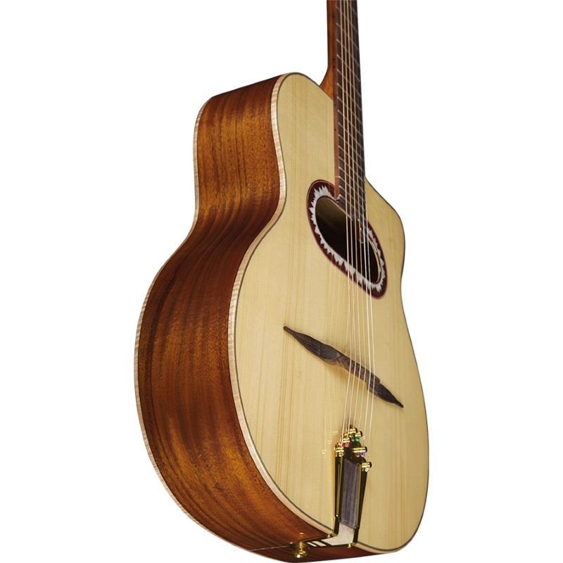 Eko Guitars Alps G450c Gipsy