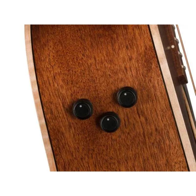 Fender Redondo Special, Pau Ferro Fingerboard, Black Pickguard, Honey Burst