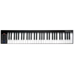 Farfisa FK610 Tastiera 61 Tasti dinamici