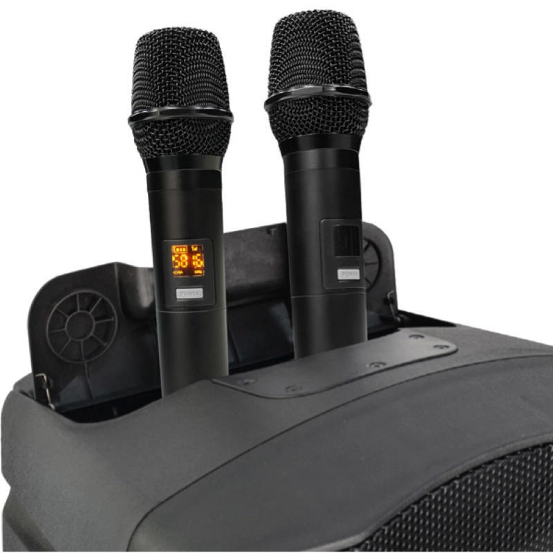 Cassa Farfisa FA120 Diffusore a Batteria con 2 Radiomicrofoni
