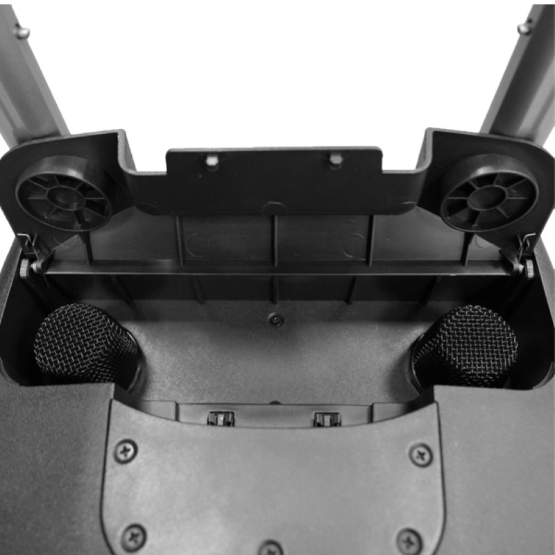 Cassa Farfisa FA120 Diffusore a Batteria con 2 Radiomicrofoni