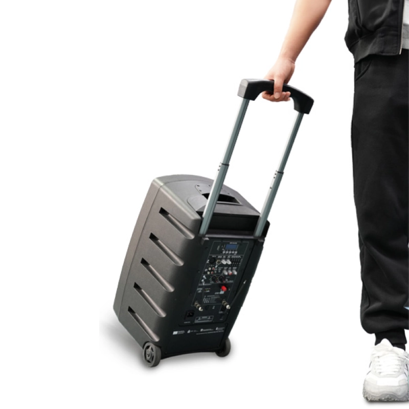 Cassa Farfisa FA120 Diffusore a Batteria con 2 Radiomicrofoni