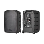 Cassa Farfisa FA120 Diffusore a Batteria con 2 Radiomicrofoni