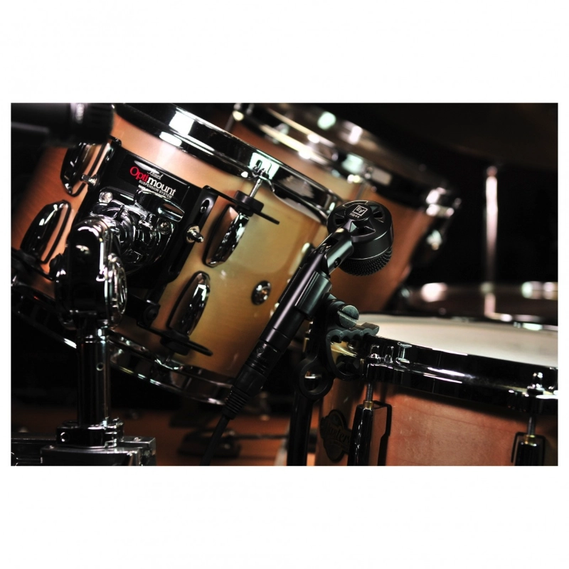 EV ND44 Microfono dinamico cardioide per strumenti e batteria