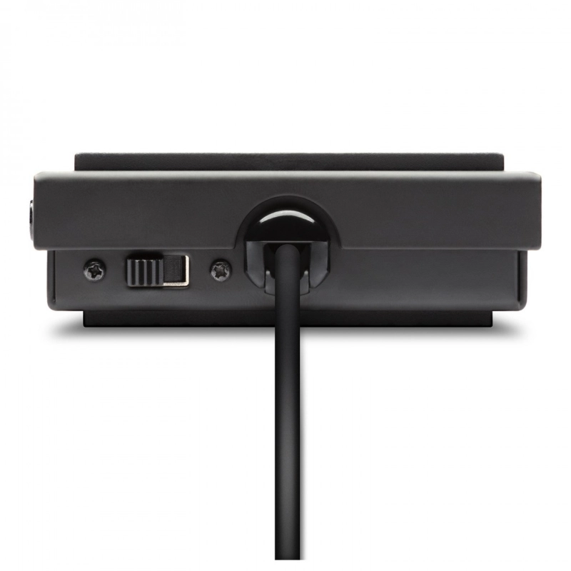 Alesis ASP1 MKII Pedale Sustain