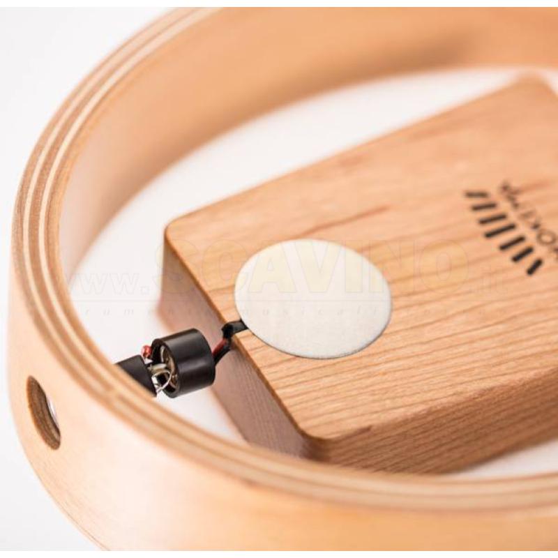 HOKEMA SANSULA Renaissance Elettrificata CDur