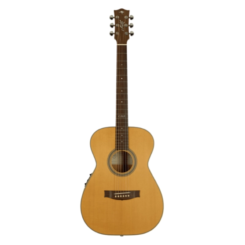 Maton Master Built-TE-Personal
