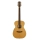 Maton Master Built-TE-Personal