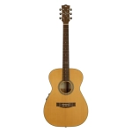 Maton Master Built-TE-Personal