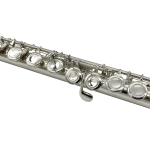 RIPA FLAUTO TRAVERSO DO FL3020S ARGENTATO FORI CHIUSI OFFSET