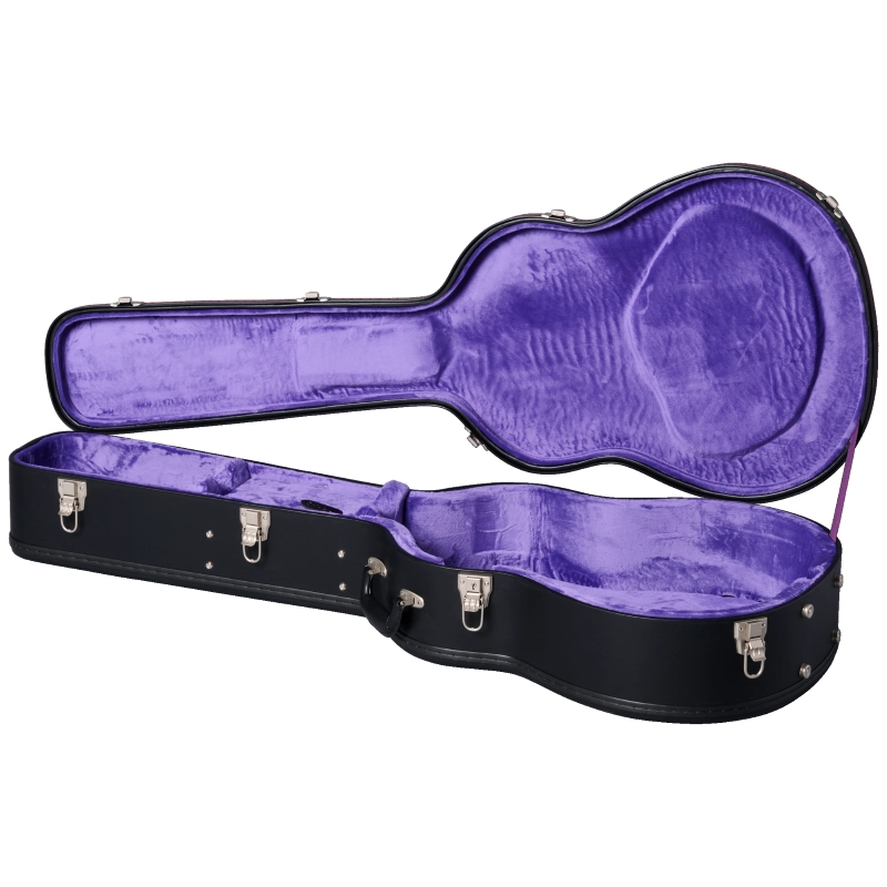 ECHBR0HSGH1_CaseOpen